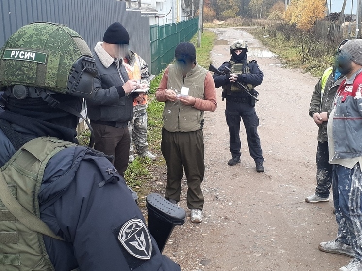 Из Смоленской области выдворят 45 нелегальных мигрантов