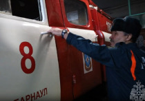 В Алтайском крае сотрудники МЧС, двигаясь в лугах к месту пожара, увидели женщину, лежащую на обочине&nbsp;без сознания