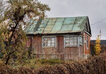 Для пензенских дачников ноябрь – последняя возможность перед сильными заморозками и выпадом снега завершить сезонные работы, чтобы весной встретить участок в порядке. Забот у владельцев участков всё ещё хватает – нужно помочь саду и огороду подготовиться к зиме.