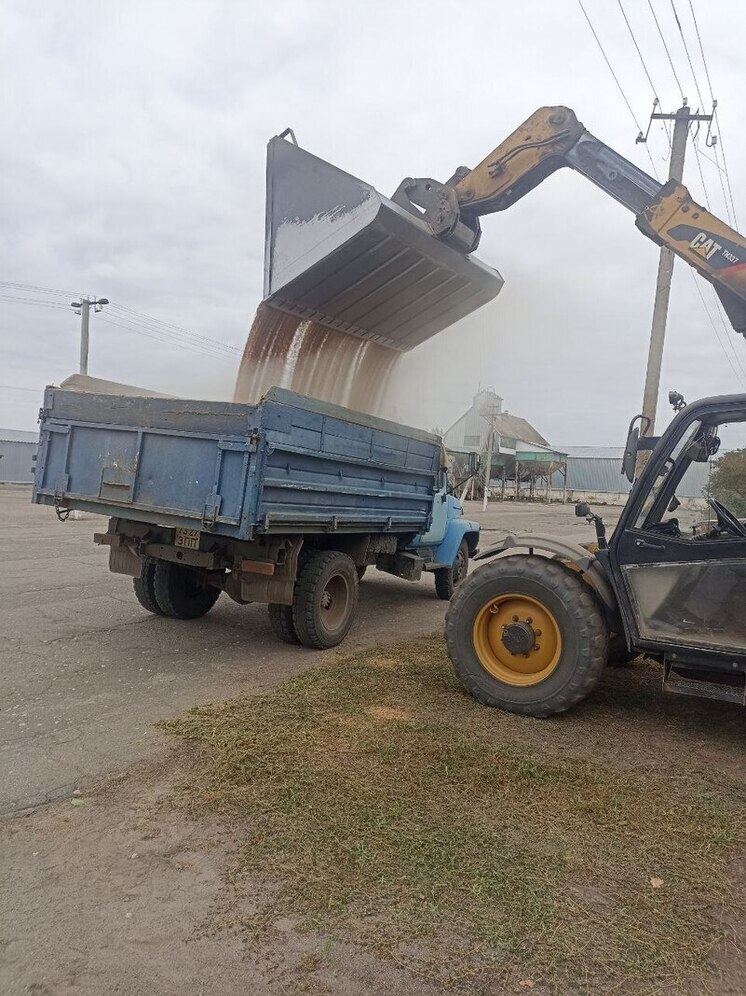 Аграрии Токмакского округа завершают уборку подсолнечника и активно сеют озимые