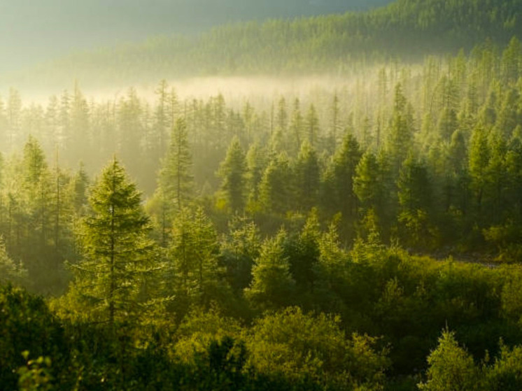 Югра получит новые особо охраняемые природные территории