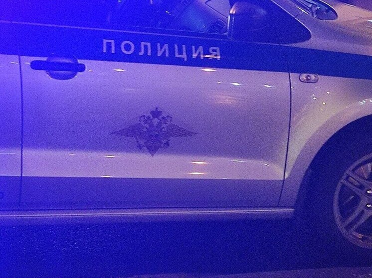 В Гатчинском районе произошло смертельное ДТП с пешеходом