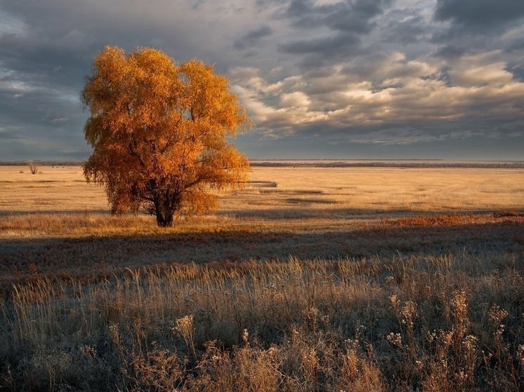 Приветы завтра расскажут о зиме в Калмыкии