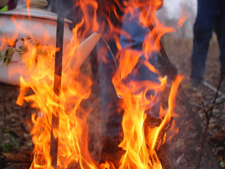 МЧС предупредило о плановом поджоге травы вдоль омской трассы