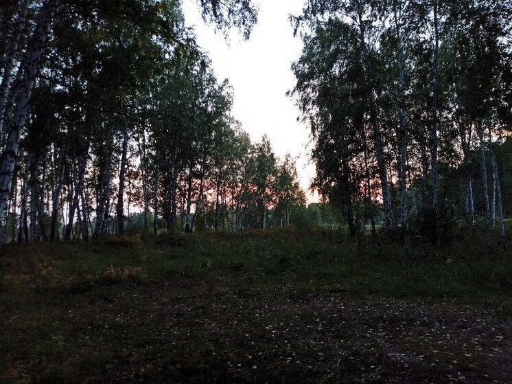 В Омской области разыскивают 74-летнюю пенсионерку