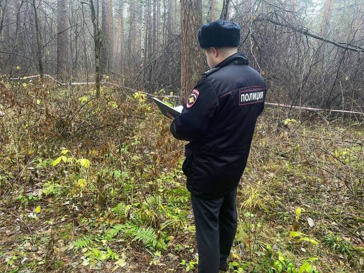 В Юго-западном лесопарке Екатеринбурга нашли труп женщины