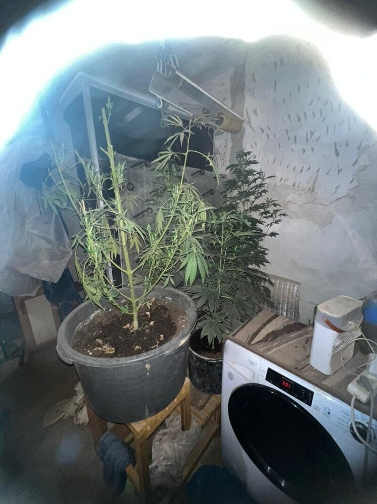 Крымчанин поссорился с бывшей женой и «заработал» два уголовных дела