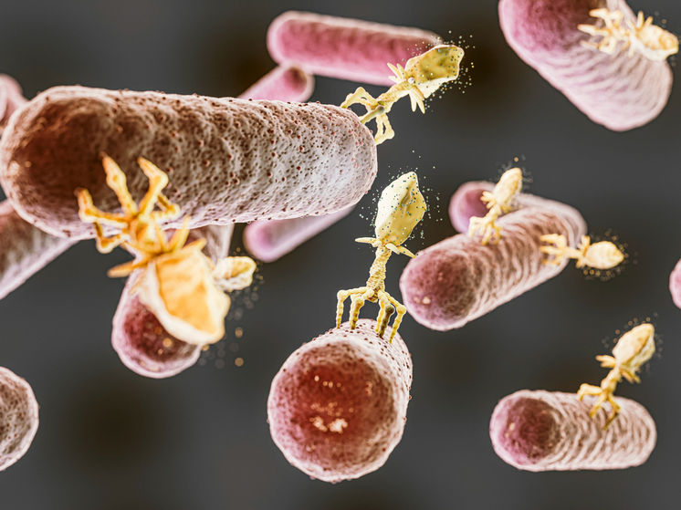 Врачи назвали пять самых опасных бактерий, способных привести к смерти