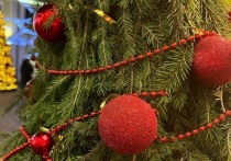 В омском парке «Зелёный остров» стартовала подготовка к зимним праздникам