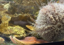 Порой бизнес не может существовать без серьезных научных разработок