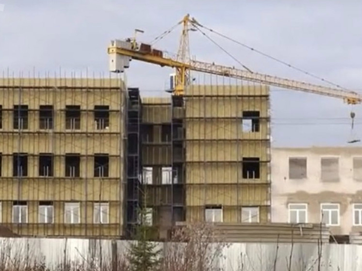 Бастрыкин потребовал доклад о нарушениях прав детей в Коноше