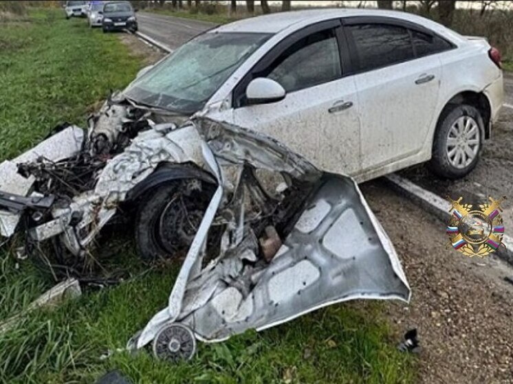 В ДТП с наездом на дерево в Белореченском районе пострадал водитель иномарки