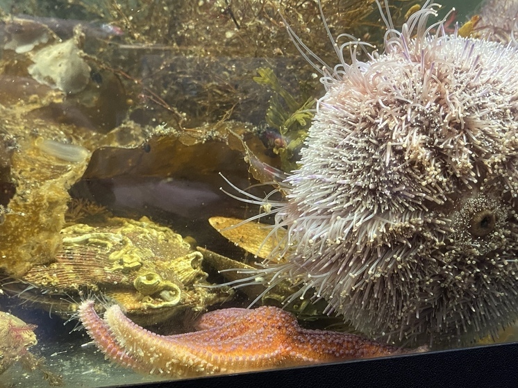 Порой бизнес не может существовать без серьезных научных разработок