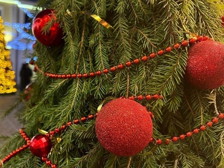 В омском парке устанавливают новогоднюю ёлку