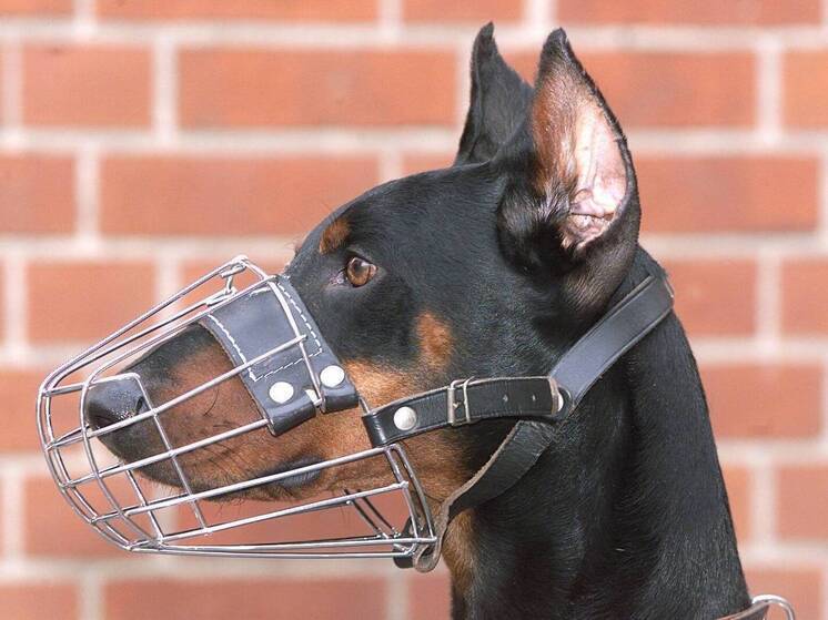 Ожидается, что пострадавший сможет рассчитывать на  выплату в размере 1 млн