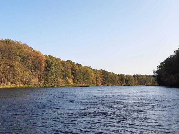 Минприроды для очистки воронежских рек предложило выпустить 400 тысяч мальков