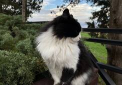 Осенний Херсонес: фотографии возрожденной истории веков