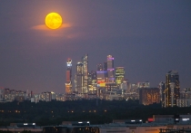  Растущая Луна в чувствительных и мечтательных Рыбах создает атмосферу интуиции, творчества и сострадания. Это день тонких энергий, а не грубого напора. Поток информации может идти не через логику, а через чувства, сны и предчувствия. Будьте внимательны к знакам и символам, которые посылает вам Вселенная.