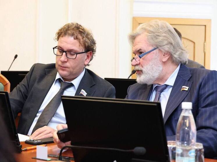 Досаев: на заседании ЗСНО рассмотрено максимум важных вопросов