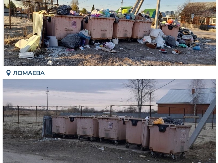 В деревне Ломаевой навели порядок на площадке для сбора коммунальных отходов