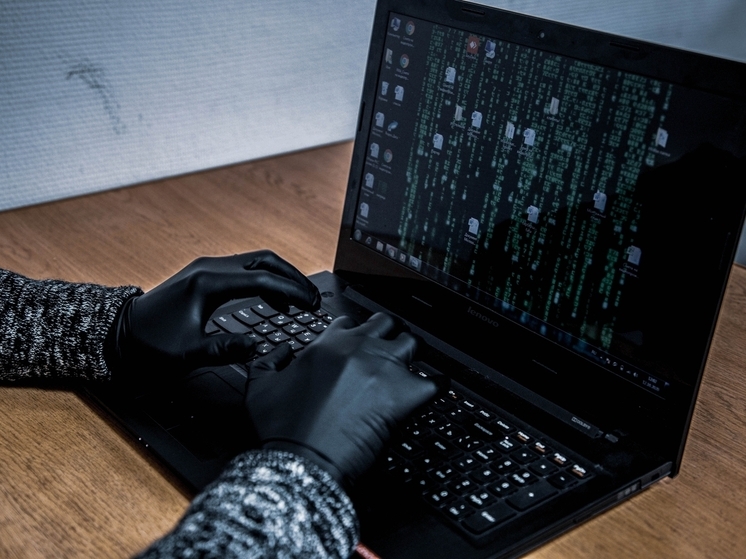 Жителям Тверской области рассказали, как мошенники атакуют покупателей и бизнес в сезон распродаж