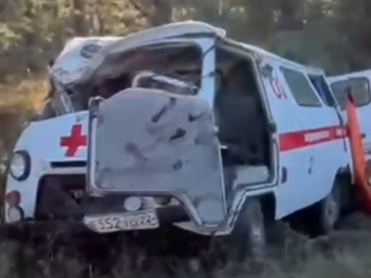 «Скорая помощь» слетела с трассы и врезалась в дерево в Алтайском крае