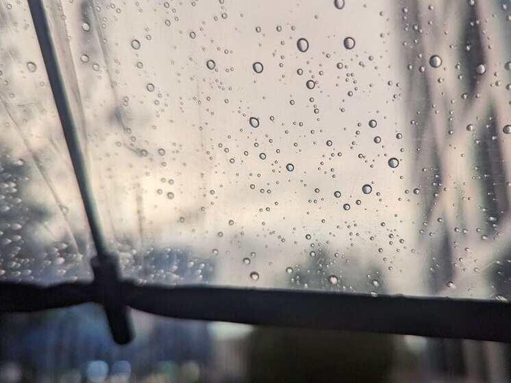 В Ленобласти 1 ноября ожидаются небольшие дожди и до +8 градусов