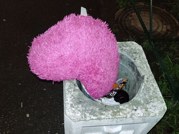 Эмоциональный петербуржец после ссоры с девушкой разбил чужой автомобиль