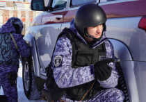 За девять месяцев 2025 года