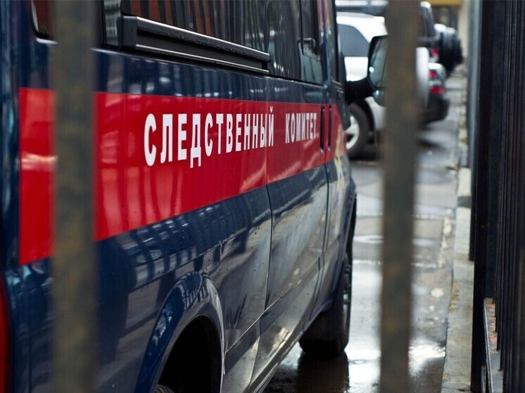 Главе СК России Александру Бастрыкину доложат о ситуации с нападением собаки на жительницу Орла