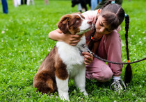 Хвостатые библиотекари, которые приучают детей к чтению, появились в Электростали