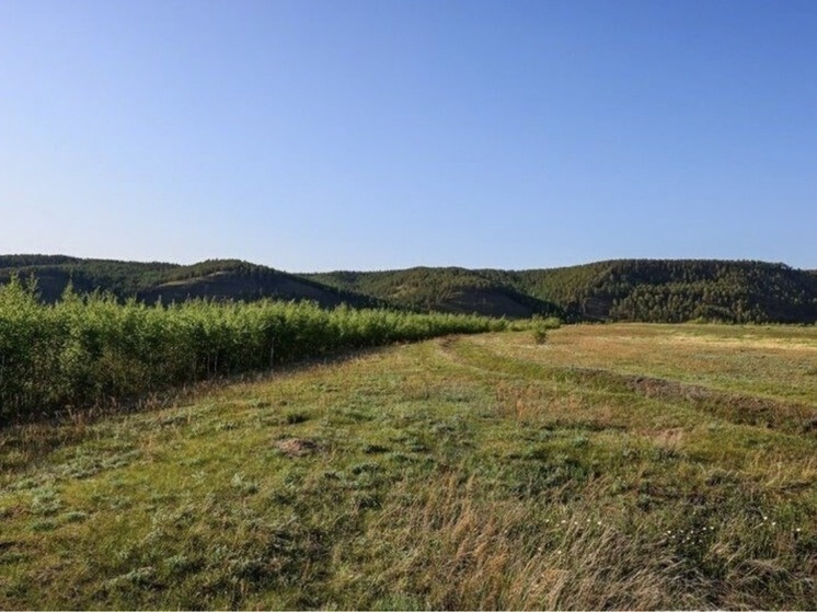 Как получить бесплатный земельный участок участникам СВО и их семьям: разъяснения министра Якутии