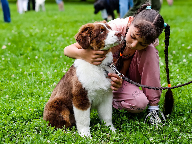 В Электростали открыли сеансы чтения в присутствии «собак-терапевтов»