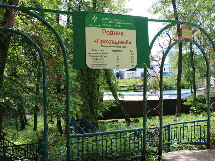 Лениногорск предлагают сделать курортным городом