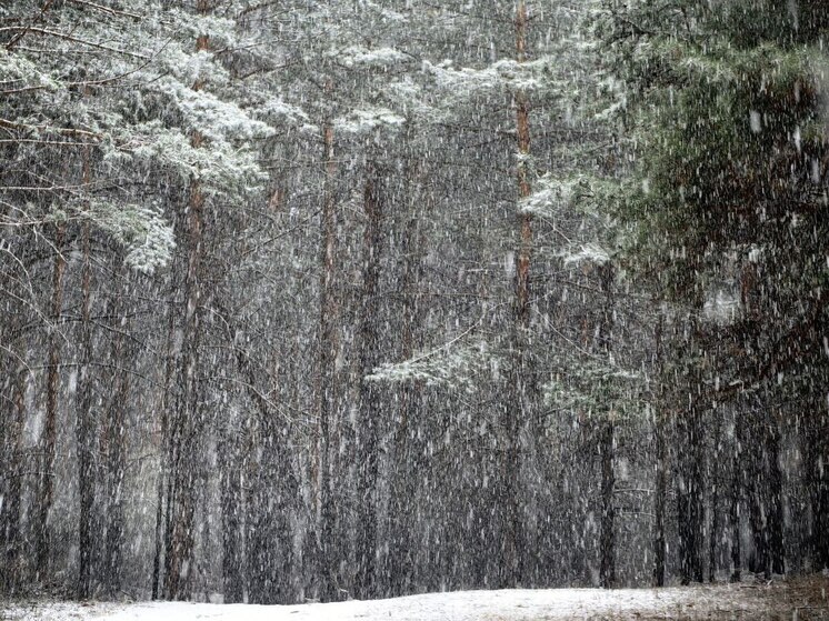 В Мурманской области 1 ноября ожидается снег и гололедица
