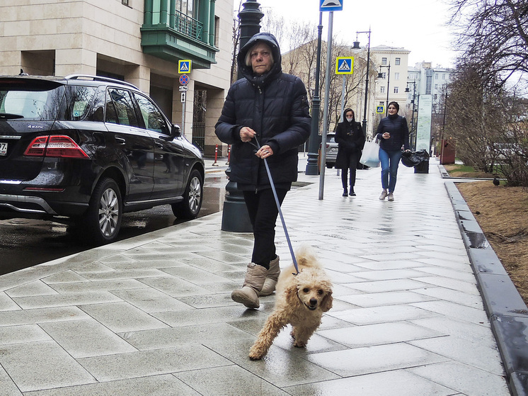 Собаководов предупредили об осенней опасности для питомцев: желуди и дубовые листья ядовиты