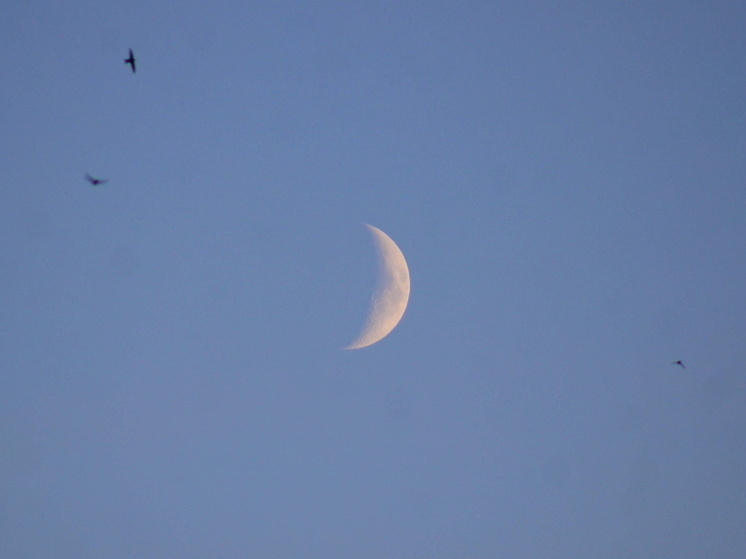 Омск увидит самое большое суперлуние 2025 года: когда смотреть