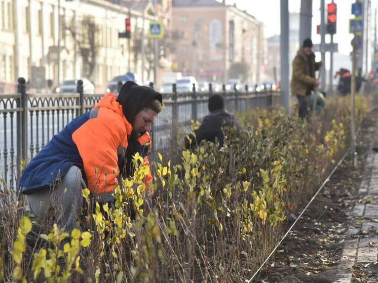 В Омске прошёл конкурс профессионального мастерства среди работников служб озеленения