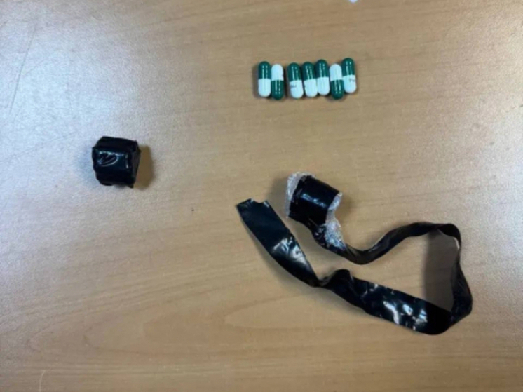 Северянину грозит срок за причастность к незаконному обороту запрещенных веществ