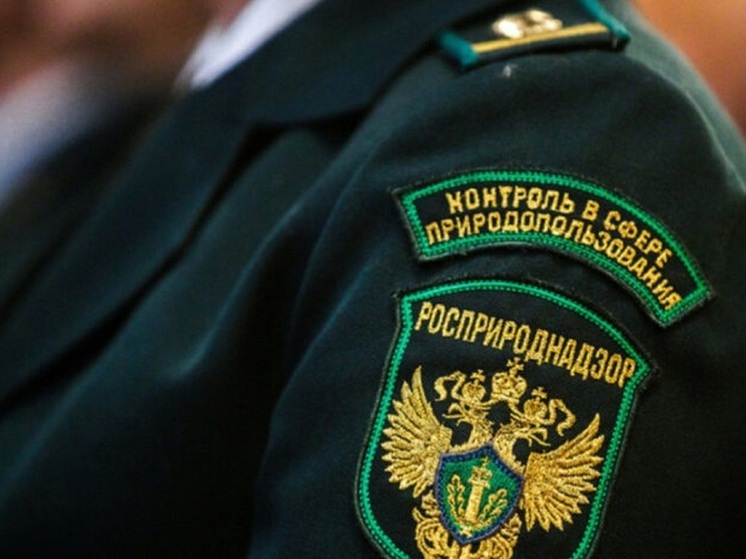 В Калмыкии рассмотрят судебное дело о вреде природе на 19 миллионов рублей