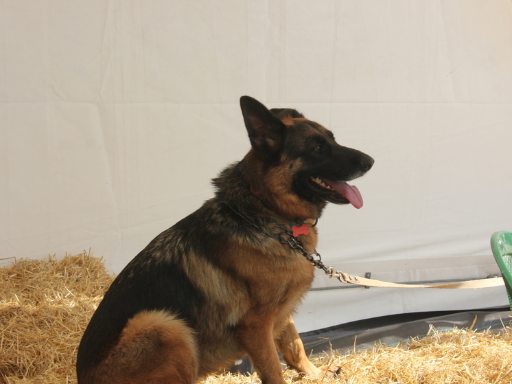 1 ноября 2025 года: какой сегодня праздник в России и мире