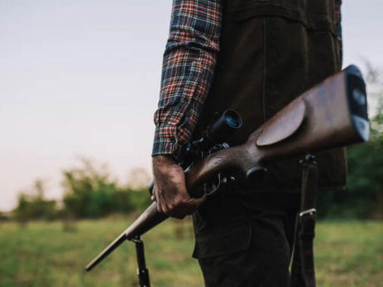 Сбой на портале «Госуслуги» мешает новосибирцам оформить охотничьи лицензии