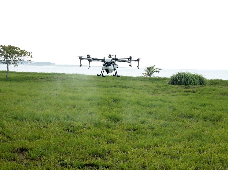 В Брянской области при атаке дрона ВСУ контужен сотрудник агропредприятия