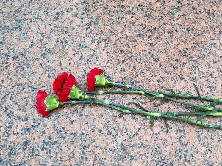 Ленобласть почтила память жертв авиакатастрофы над Синаем