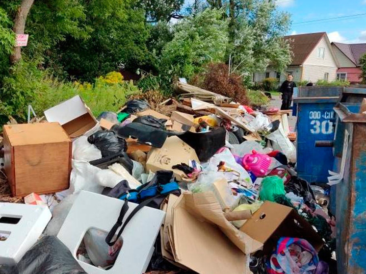В Брянске за свалку оштрафовали ответственный комитет по ЖКХ