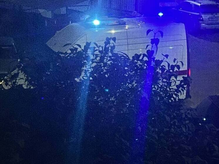 Упавшее на трассу дерево стало причиной ДТП под Зеленоградском