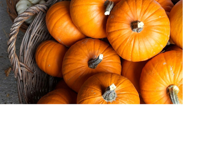 Хеллоуин по-доброму: сегодня день тыквенного спаса