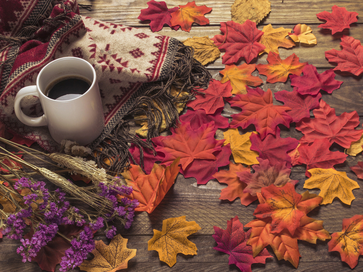 15 градусов тепла прогнозируют в Херсонской области 1 ноября