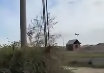 В Дагестане 34 охотника наградили за помощь правоохранителям в отражении атак украинских беспилотников