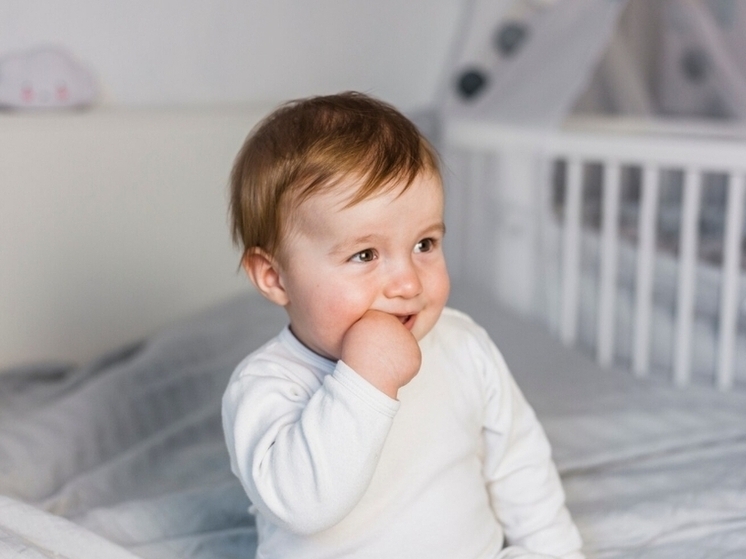 В Смоленской области утвердили график выплат детских пособий на ноябрь 2025 года